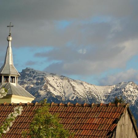 Mountain Vista Suites Zărneşti Bagian luar foto