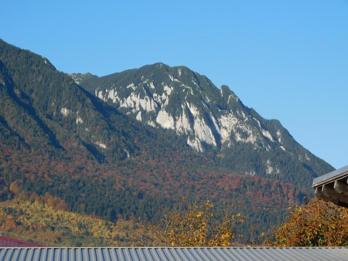 Mountain Vista Suites Zărneşti Bagian luar foto