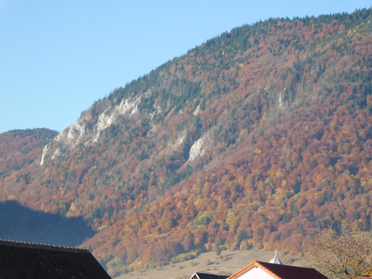 Mountain Vista Suites Zărneşti Bagian luar foto