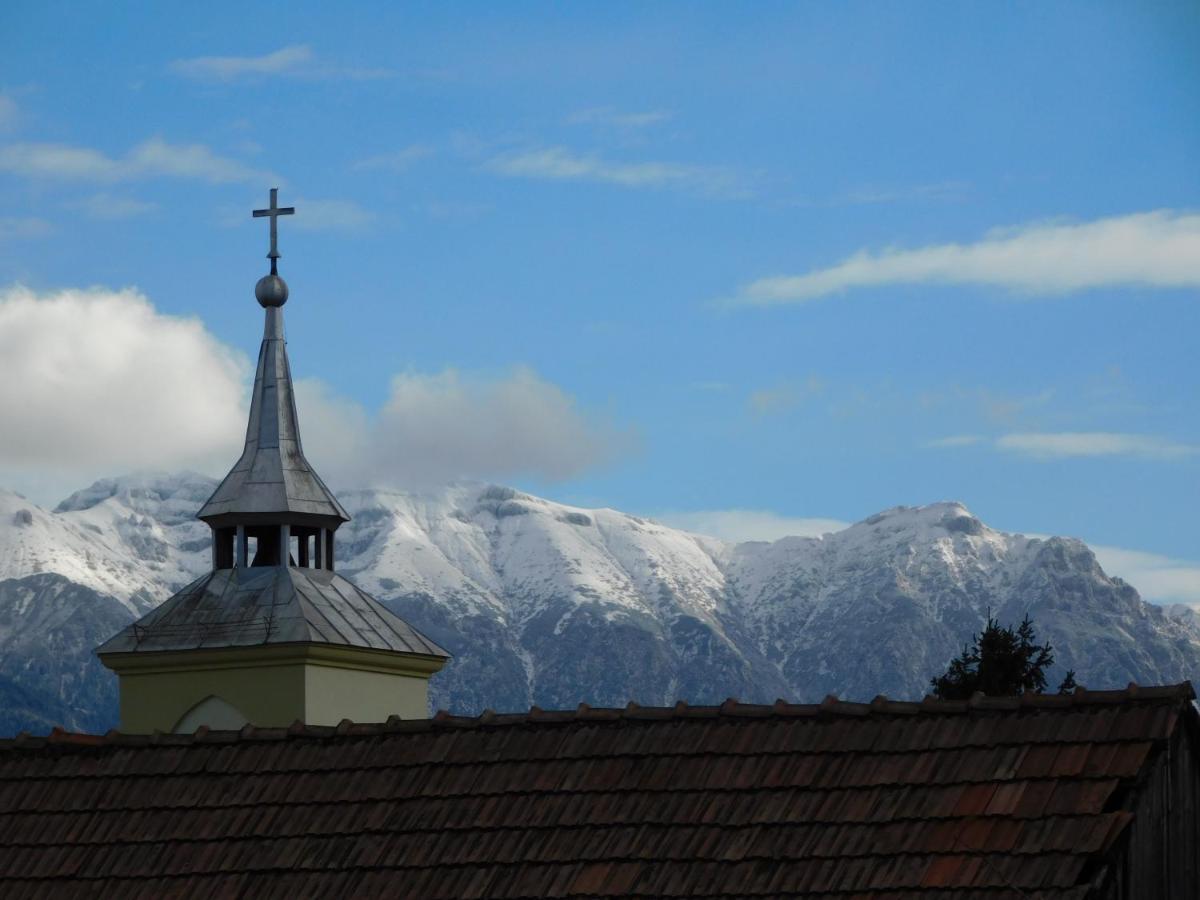 Mountain Vista Suites Zărneşti Bagian luar foto