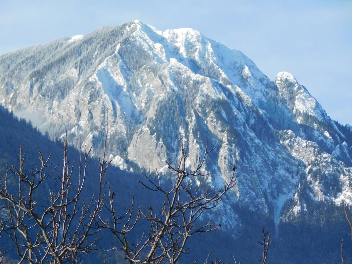 Mountain Vista Suites Zărneşti Bagian luar foto