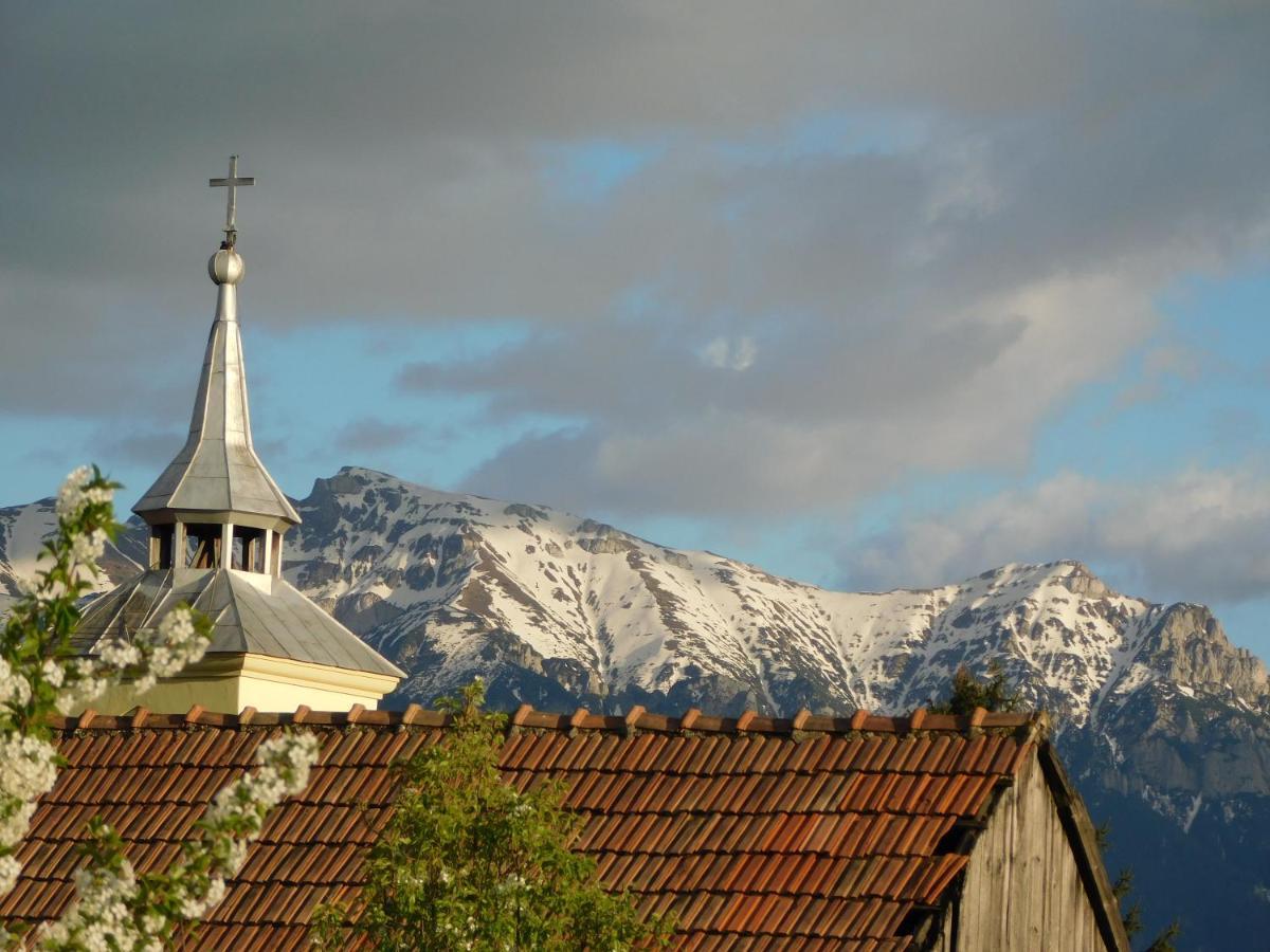 Mountain Vista Suites Zărneşti Bagian luar foto